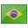 Brazilian Flag