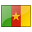Cameroonian Flag